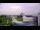 Webcam in Houston, Texas, 136.2 km