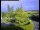 Webcam in Bürgel, 20.3 km