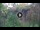 Webcam in La Orotava (Teneriffa), 3.6 km entfernt