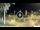 Webcam in Los Christianos (Tenerife), 5.8 mi away