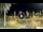 Webcam in Los Christianos (Teneriffa), 5.4 km entfernt