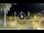 Webcam in Los Christianos (Teneriffa), 1.6 km