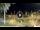 Webcam in Los Christianos (Tenerife), 2.8 mi away