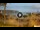 Webcam in Los Christianos (Teneriffa), 1.3 km entfernt