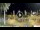 Webcam in Los Christianos (Tenerife), 6.6 km