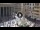 Webcam in Rome, 0.2 mi away