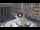 Webcam in Rom, 0.6 km