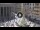 Webcam in Rome, 0.2 mi away