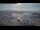 Webcam in Genua, 2 km entfernt