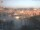 Webcam in Genova, 1.1 mi away