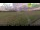 Webcam in Wyk auf Föhr, 5 mi away