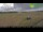 Webcam in Wyk auf Föhr, 3.1 km