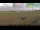Webcam in Wyk auf Föhr, 32.2 km