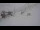 Webcam in Akureyri, 6 km
