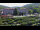 Webcam in Bad Brückenau, 33.4 km
