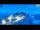 Webcam in Guadagnolo, 14 mi away