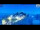 Webcam in Guadagnolo, 14.3 km entfernt
