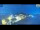 Webcam in Guadagnolo, 5.5 mi away