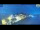 Webcam in Guadagnolo, 14.3 km
