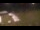Webcam in Seattle, Washington, 12.1 mi away