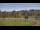 Webcam in Nashville, Indiana, 205.2 km