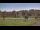 Webcam in Nashville, Indiana, 255 km