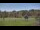 Webcam in Nashville, Indiana, 93.3 km entfernt