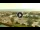 Webcam in Forte dei Marmi, 0.6 km