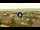 Webcam in Forte dei Marmi, 2.5 mi away