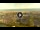 Webcam in Forte dei Marmi, 0.2 mi away