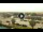 Webcam in Forte dei Marmi, 0.4 mi away