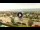 Webcam in Forte dei Marmi, 2.7 mi away