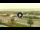 Webcam in Forte dei Marmi, 13 km