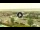 Webcam in Forte dei Marmi, 5.3 km