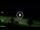 Webcam in Forte dei Marmi, 5.3 km
