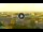 Webcam in Forte dei Marmi, 0.4 mi away