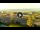Webcam in Forte dei Marmi, 3.3 km