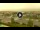 Webcam in Forte dei Marmi, 2.3 mi away