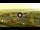 Webcam in Forte dei Marmi, 2.1 mi away