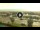 Webcam in Forte dei Marmi, 13 km