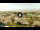Webcam in Forte dei Marmi, 8.1 km