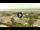 Webcam in Forte dei Marmi, 0.4 mi away