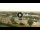 Webcam in Forte dei Marmi, 8.2 km