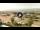 Webcam in Forte dei Marmi, 1.6 km