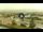 Webcam in Forte dei Marmi, 3.3 km