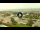 Webcam in Forte dei Marmi, 0.6 km entfernt