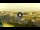 Webcam in Forte dei Marmi, 2.3 mi away