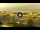 Webcam in Forte dei Marmi, 1.1 km entfernt