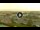 Webcam in Forte dei Marmi, 5.3 km
