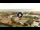 Webcam in Forte dei Marmi, 2.7 mi away